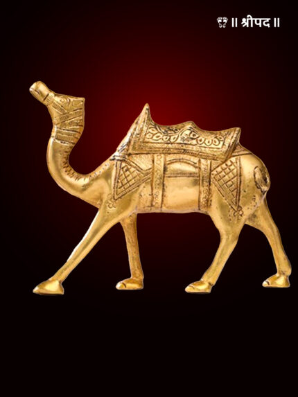 Standing Camel Statue | 6-Inch | Brass